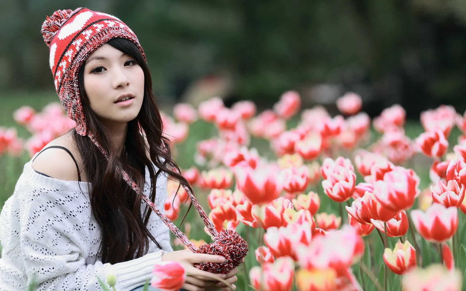 一名戴着红白针织帽的女子坐在盛开的郁金香花田前。