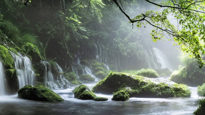 陽光が深い森を照らし、苔むした岩と小さな滝の間を清流が流れている。