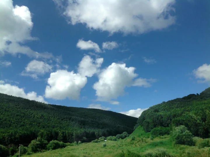 푸른 하늘 아래 숲이 우거진 산과 초원, 흰 구름이 펼쳐진 평온한 자연 풍경입니다.