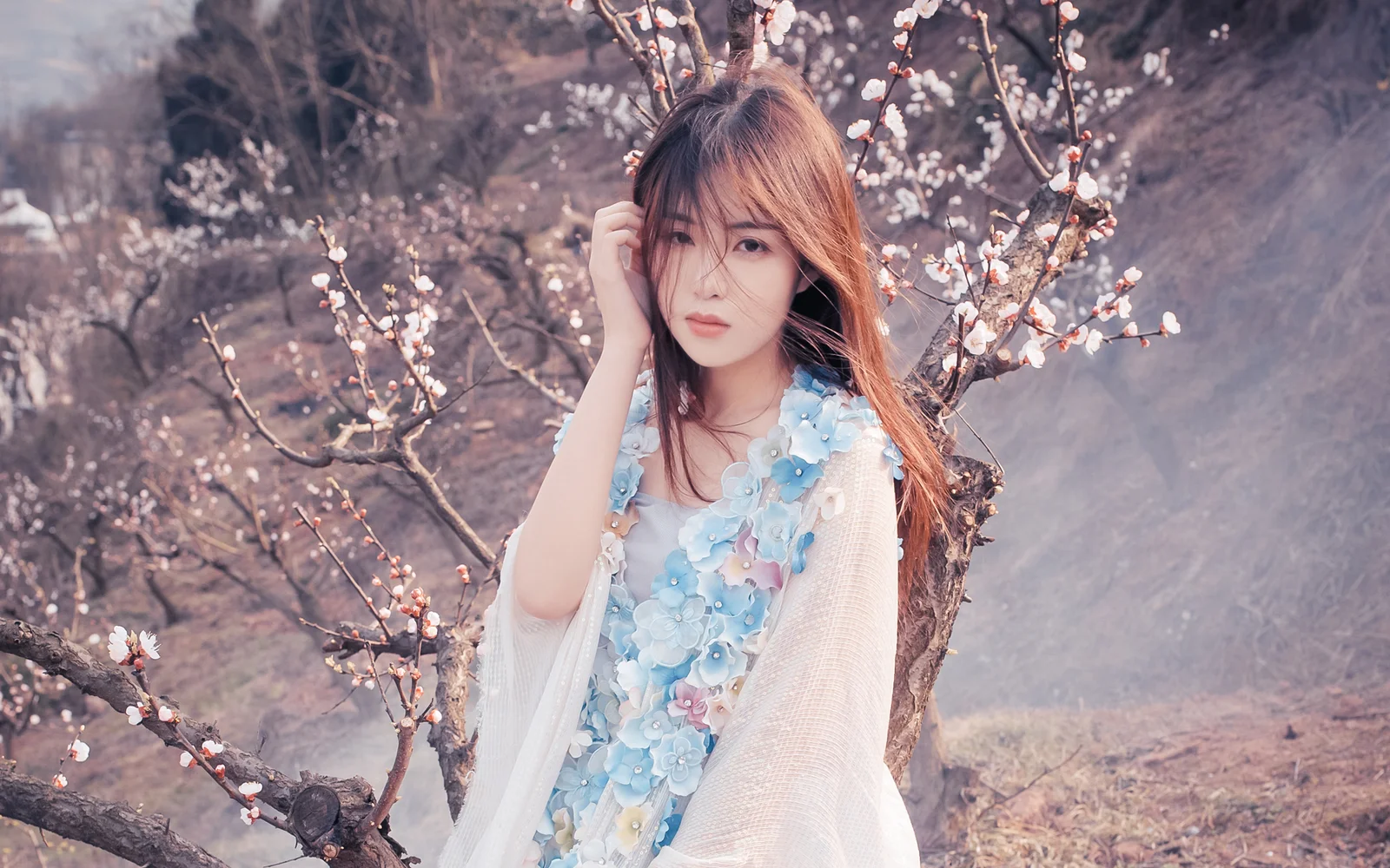 一名女子站在盛開梅花的樹枝間，背景是朦朧的山景。