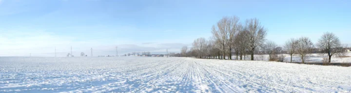 蓝天下，一片覆雪的田野延伸至远方，右侧排列着一行光秃的树木。