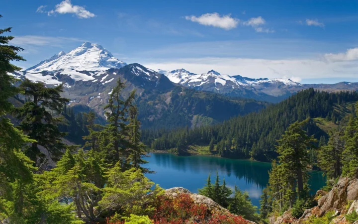 蓝天下的雪山、湖泊与针叶林构成宁静的山地风景。