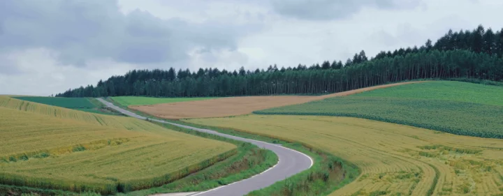 一条蜿蜒的公路穿过金色田野，远处是成片森林和阴云天空。