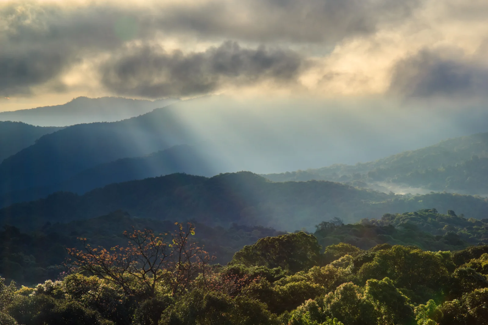 厚い雲と霧の間から差し込む陽光が、山並みと森林に覆われた谷を照らしている。