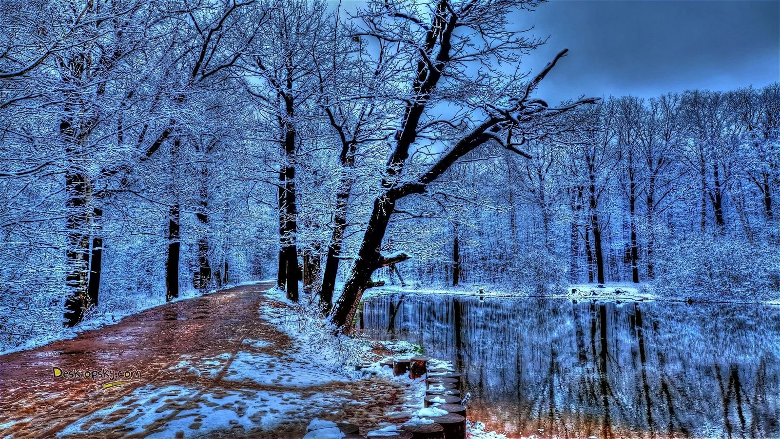 一条覆雪小径穿过蓝色调的冬季森林，旁边是一片映照树木的池塘。