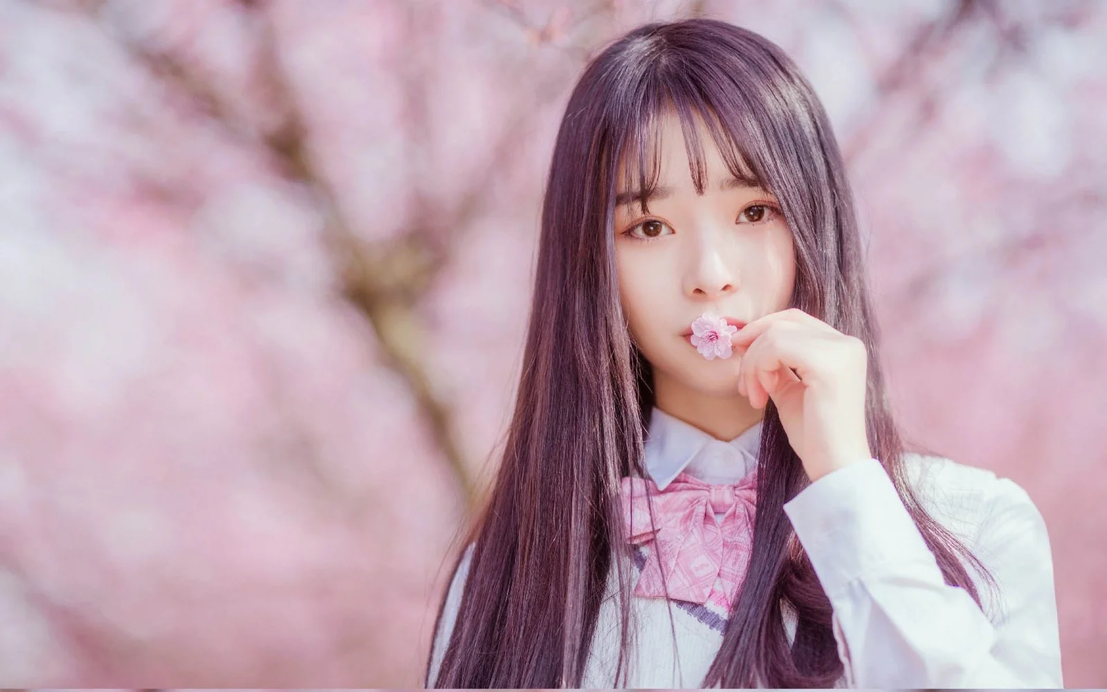 一名长发女子手持小花站在粉色樱花背景前。