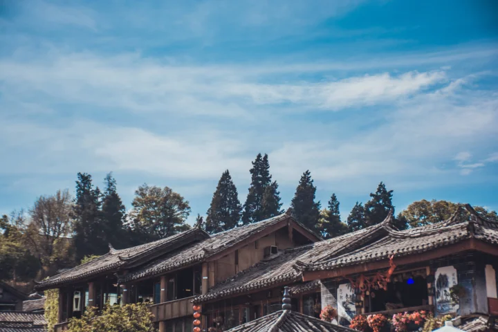 画面展示了蓝天下一排带有灰色瓦顶和红色装饰的传统建筑，后方可见高大的树木。