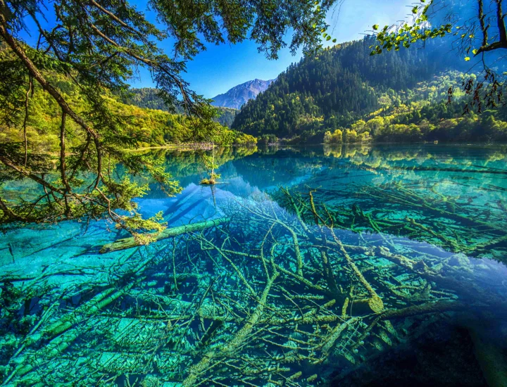 清澈碧 turquoise?湖水映照着周围的森林、山峰和水下的倒木。