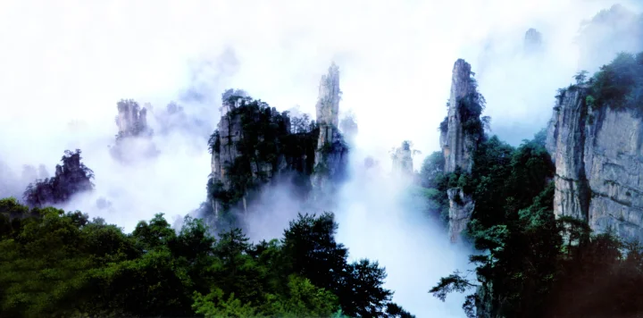 云雾笼罩着陡峭的山峰与茂密森林，构成一幅宁静的自然景观。