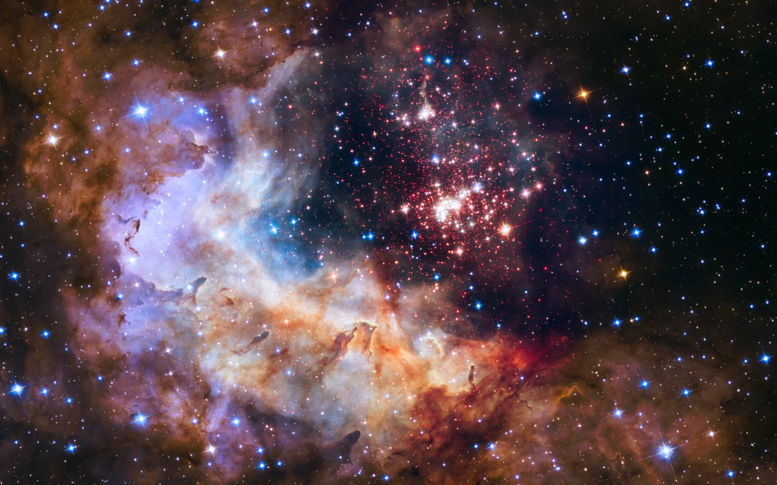 绚丽多彩的星云、密集星团与遍布画面的繁星构成宇宙深空景象。