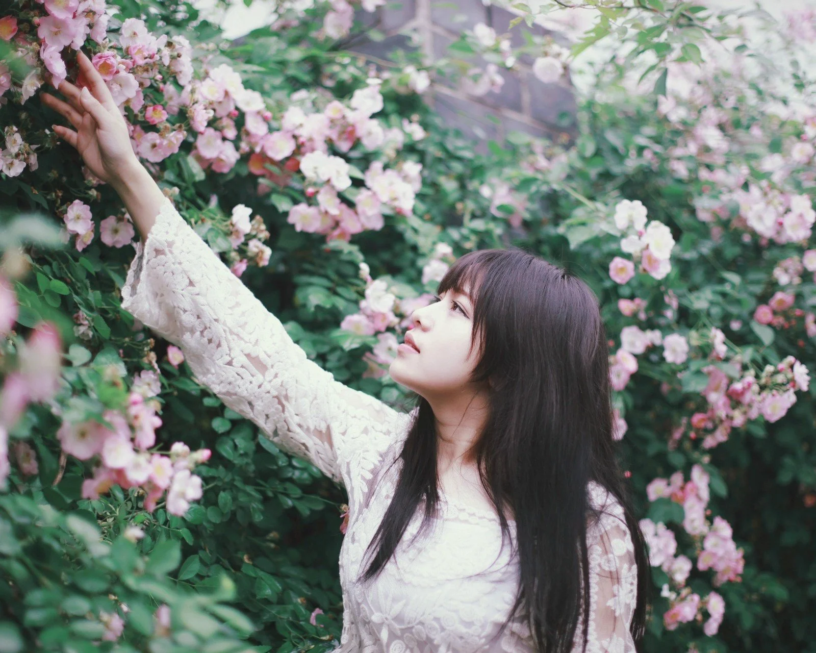 흰색 레이스 상의를 입은 긴 머리 여성이 만개한 분홍색 꽃들 사이에서 꽃에 손을 뻗고 있다.