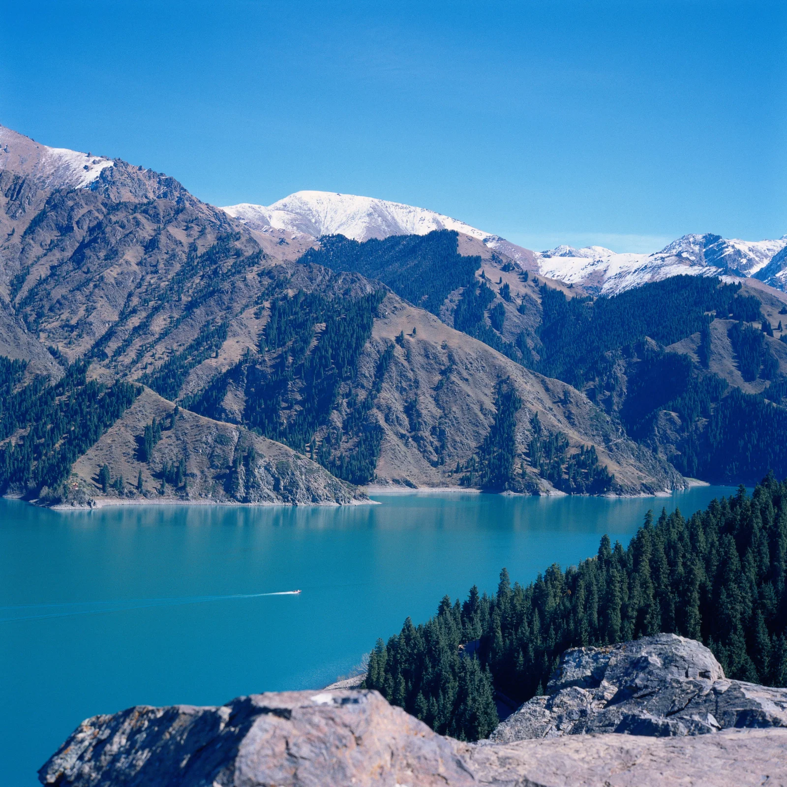 蓝天下的雪山、森林与碧蓝湖泊组成宁静的自然风景。