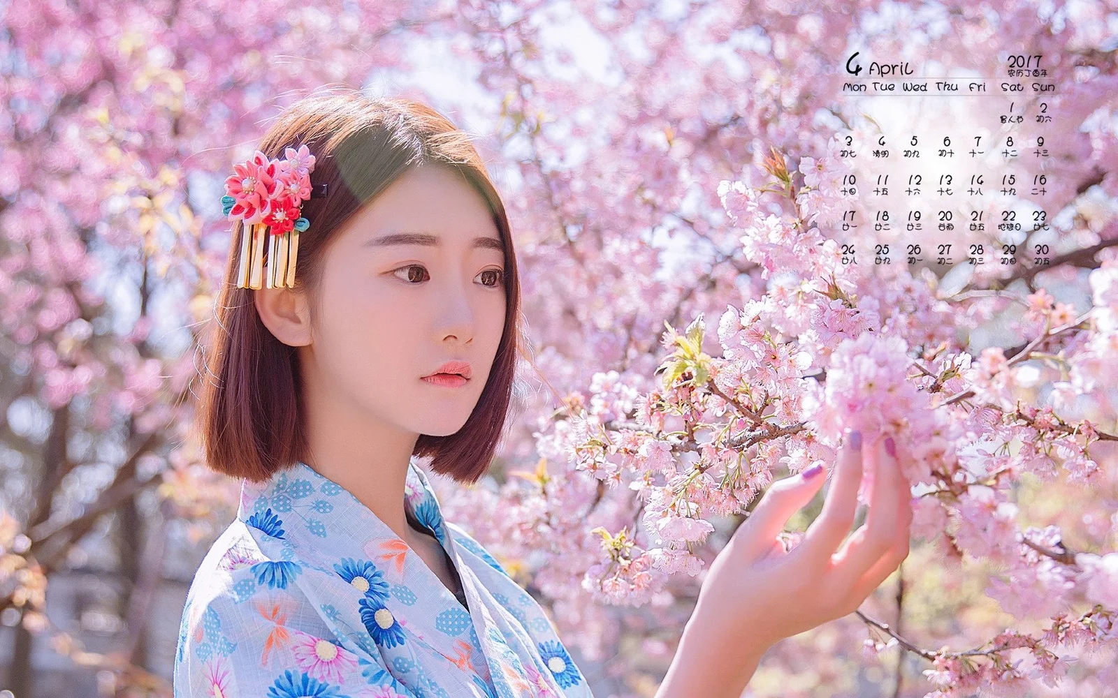 一名成年女性站在盛开的粉色樱花旁，手边轻触着花枝。