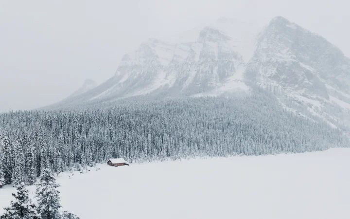 白雪覆盖的山脉、森林与开阔雪地构成宁静的冬季风景。