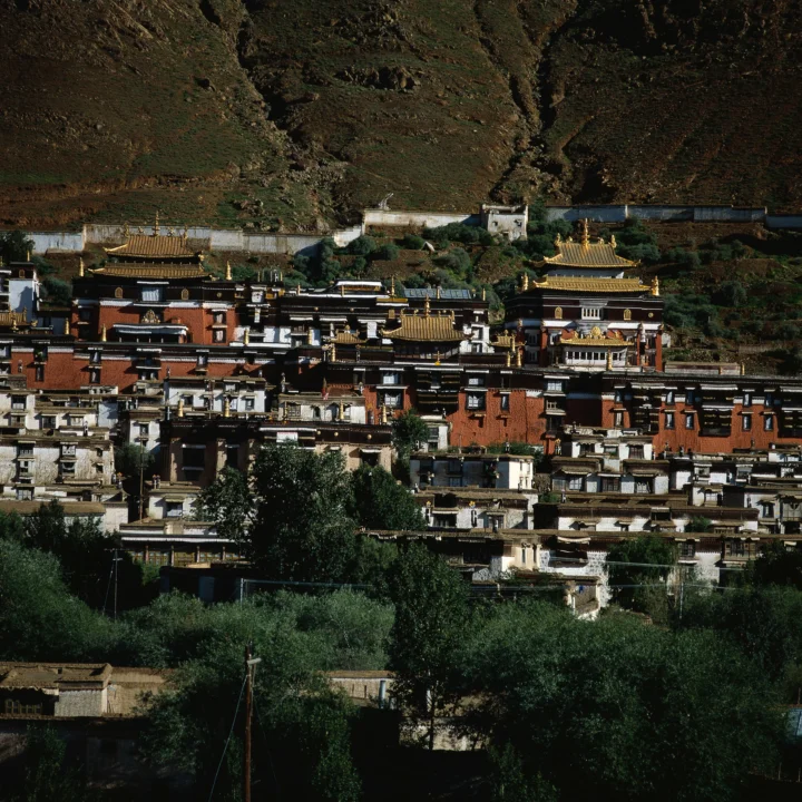 山坡上的藏式寺院建筑群在树木与山地背景中铺展开来。
