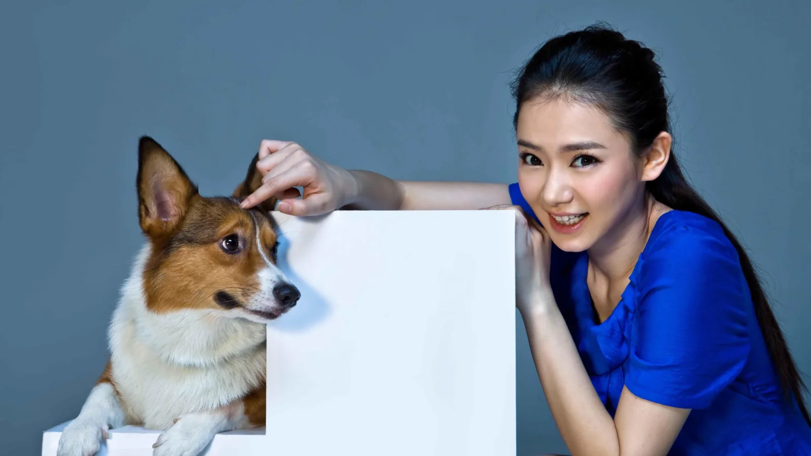 파란색 상의를 입은 여성이 청회색 배경 앞에서 흰색 판 옆에 개와 함께 있다.