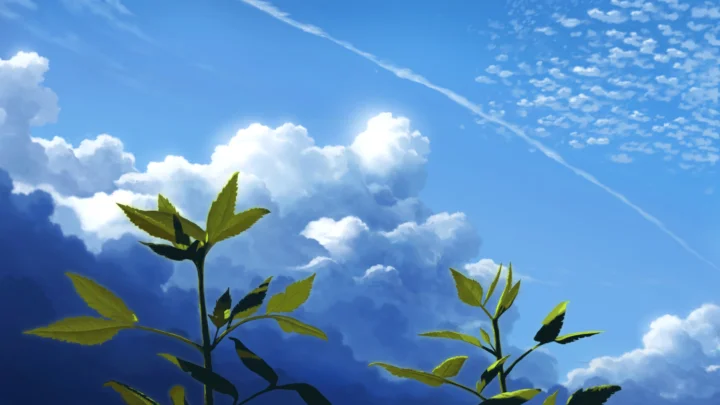 蓝天白云下，几株绿叶植物伸向天空。