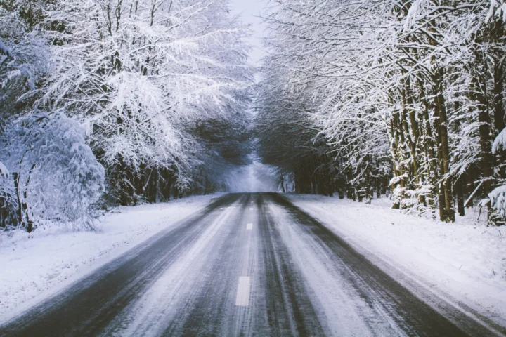 一条覆雪的道路穿过两侧挂满积雪的树林。