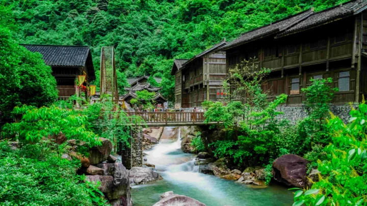 茂密森林中的木屋村落旁，一条清澈溪流从桥下流过。