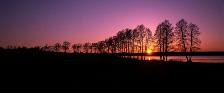 夕阳映照着湖畔成排的树木，水面留下温暖的倒影。