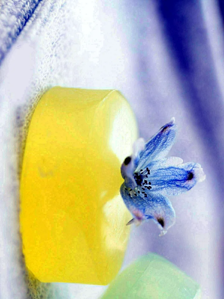 明るい黄色の花びらの上に青い小花が乗り、紫と白の柔らかなぼけた背景が広がっています。