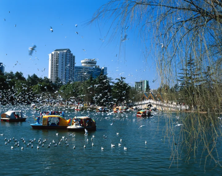 晴朗蓝天下，湖面上有彩色脚踏船和成群飞鸟，远处可见城市建筑与垂柳。