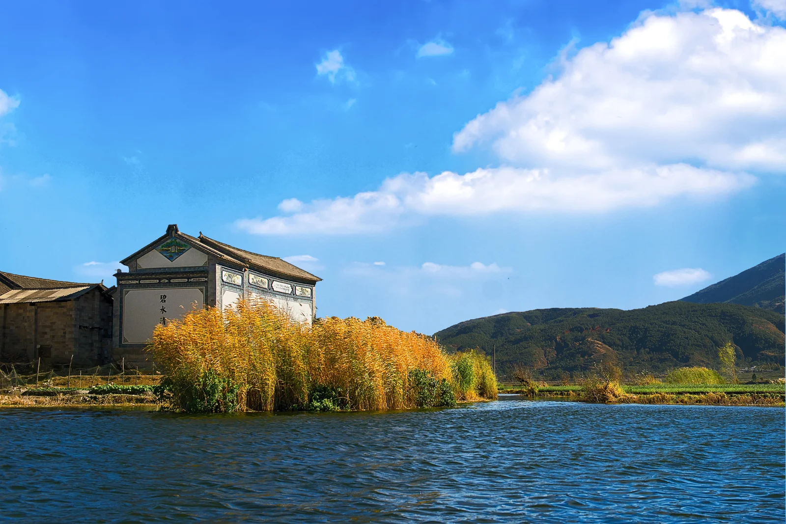 湖面前方生长着金黄色芦苇，岸边有一座传统建筑，远处是山脉和蓝天白云。