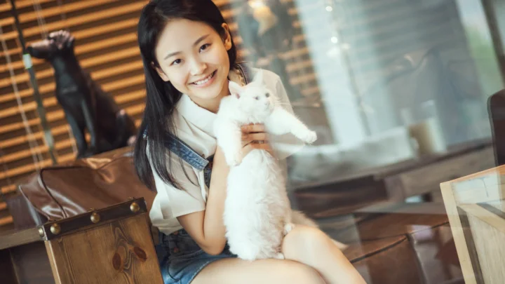 一名微笑的女子在室内沙发上抱着一只白猫。