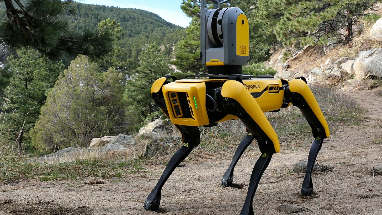 黄色い四足歩行ロボットが山間の松林にある未舗装の道のそばに立っています。