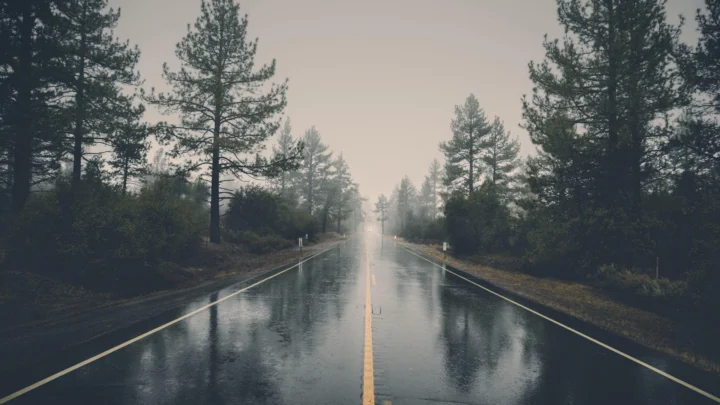 一条湿润的双车道公路穿过雾气笼罩的森林，路面倒映着灰暗的天空和树木。