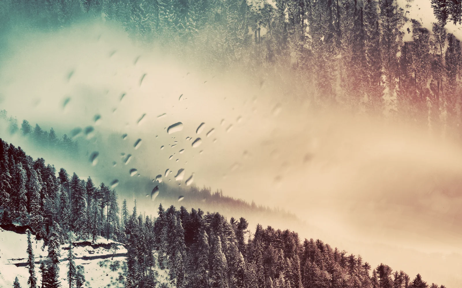 雨滴覆盖的玻璃前是一片被薄雾笼罩的积雪森林。