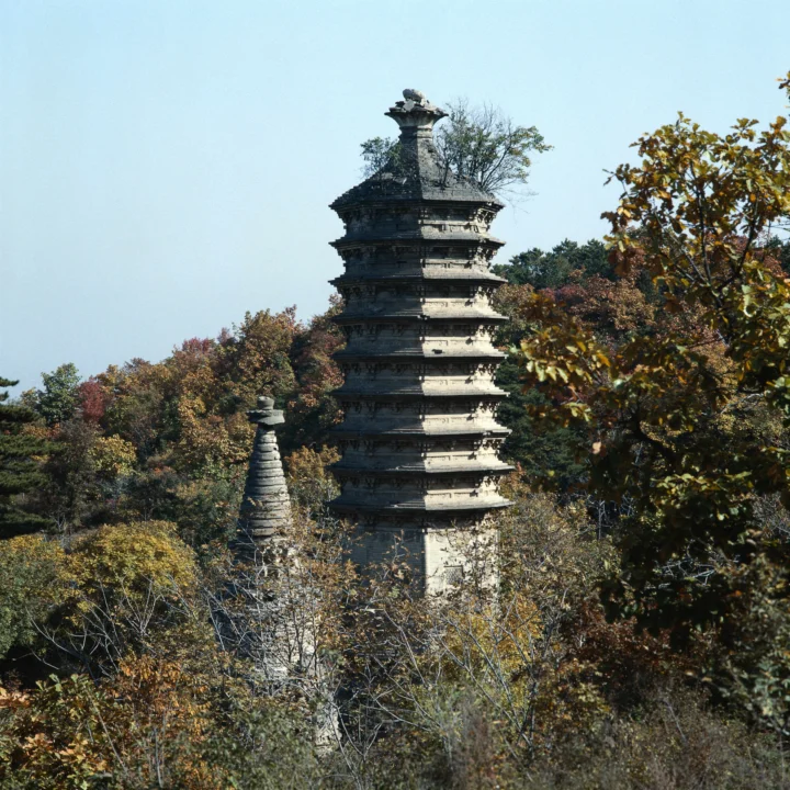 一座多层古塔矗立在秋色树林之间，背景是晴朗的浅蓝色天空。