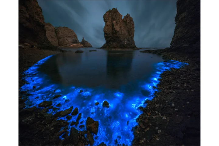 夜色中的岩石海岸被明亮的蓝色荧光水流映照，远处矗立着陡峭的海蚀岩柱。