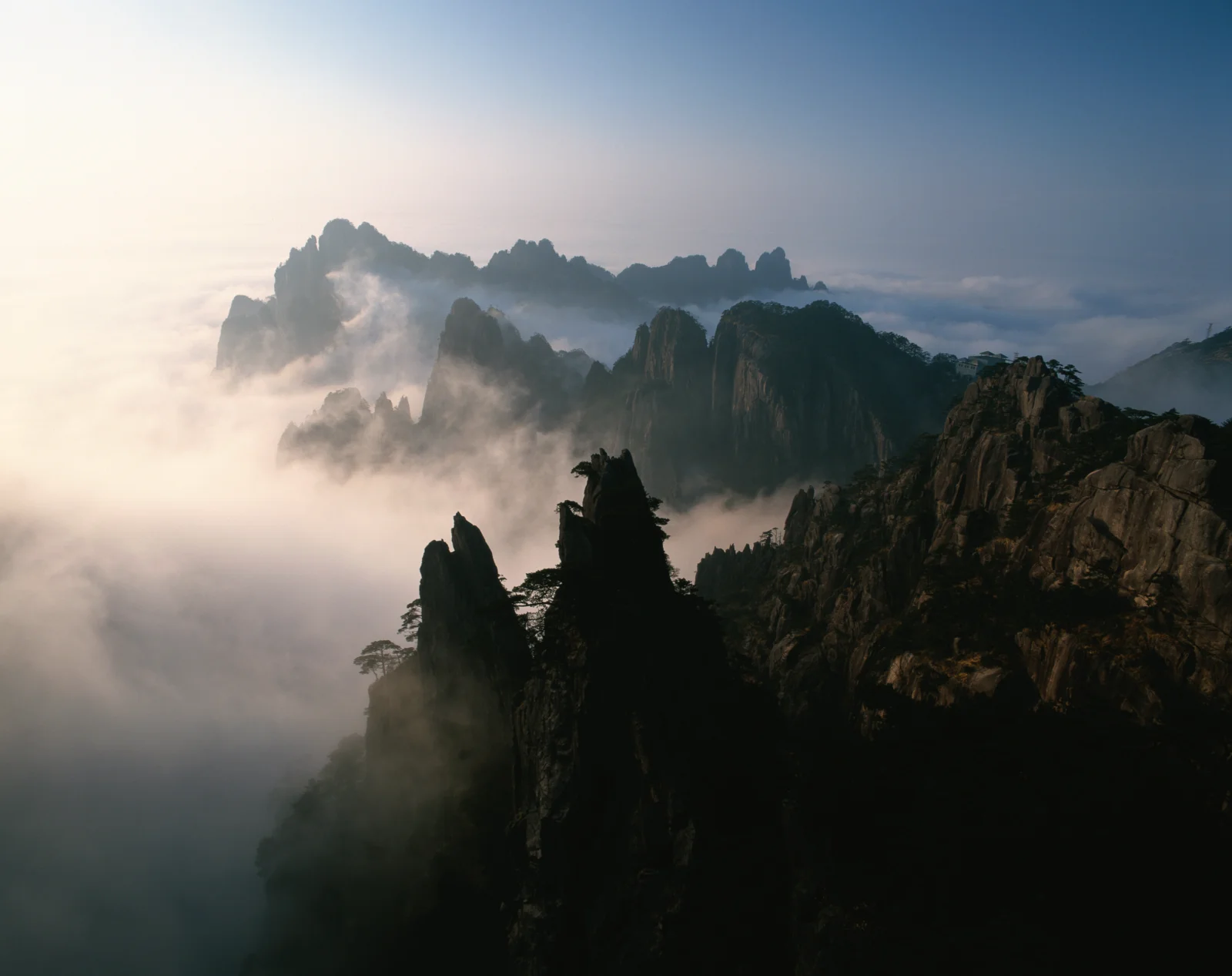 云雾缭绕的险峻山峰与松树构成宁静壮丽的自然景观。