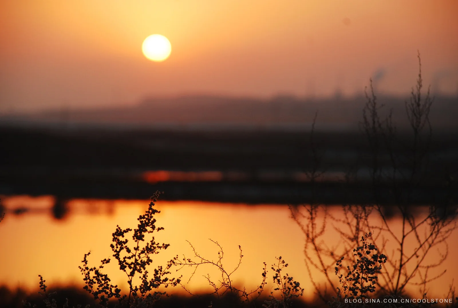 夕阳悬在朦胧的地平线上方，金色光芒映照着湖面，前景是植物的深色剪影。