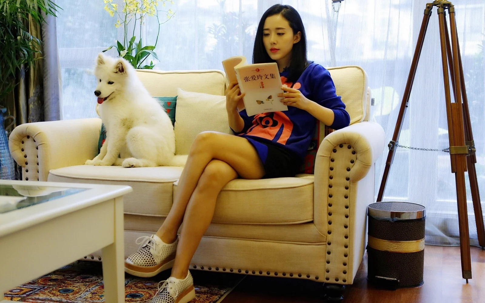 白い犬の隣で、成人女性がリビングのソファに座って本を読んでいます。