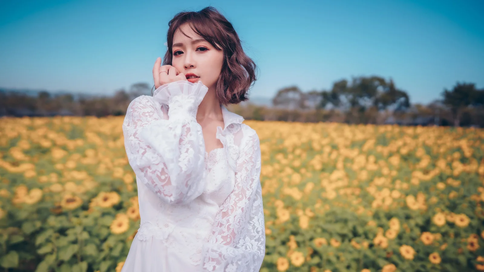 흰색 레이스 원피스를 입은 여성이 활짝 핀 해바라기밭 앞에 서 있습니다.