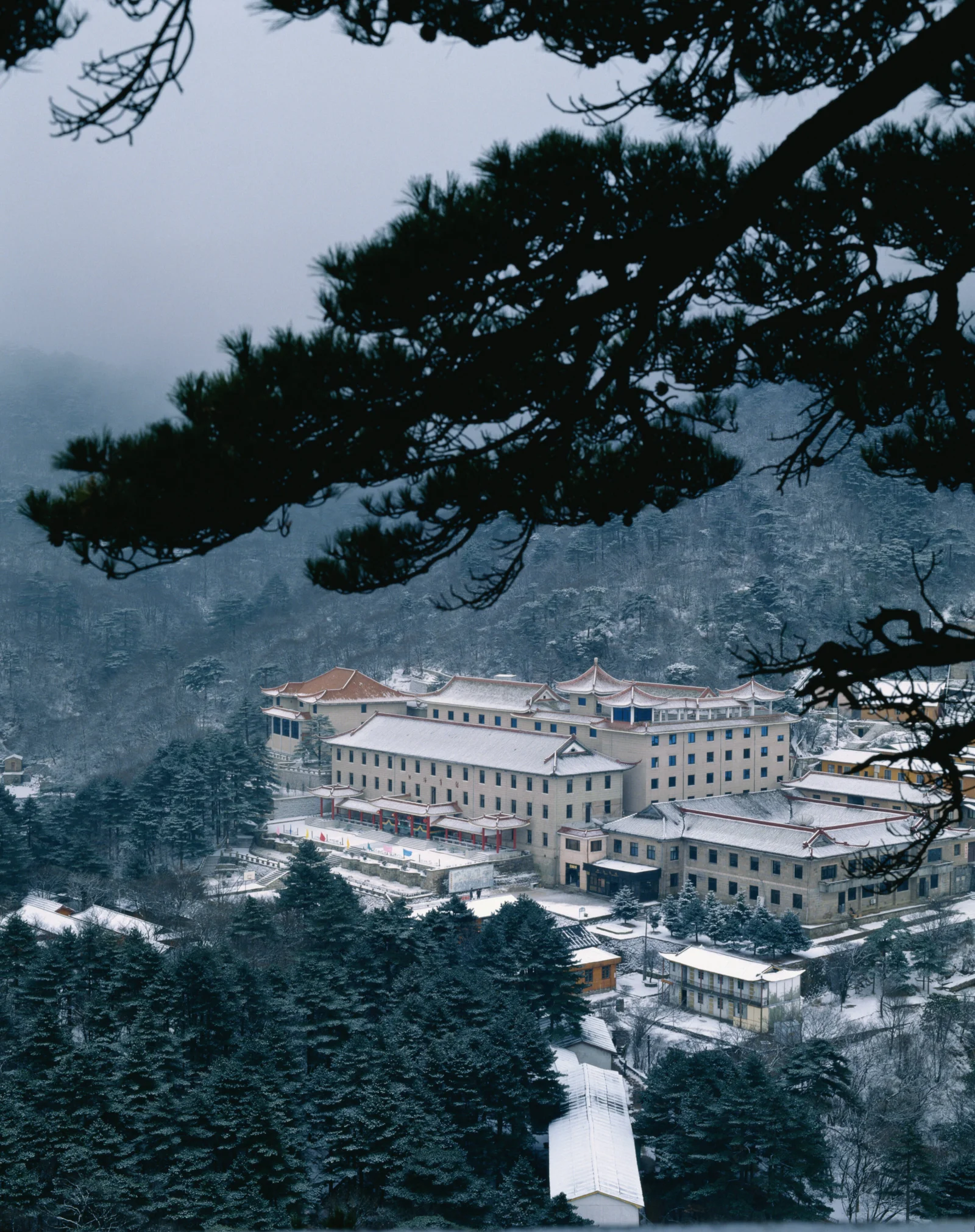 雪に覆われた建物群が、霧に包まれた山の斜面と松林の中に佇んでいます。