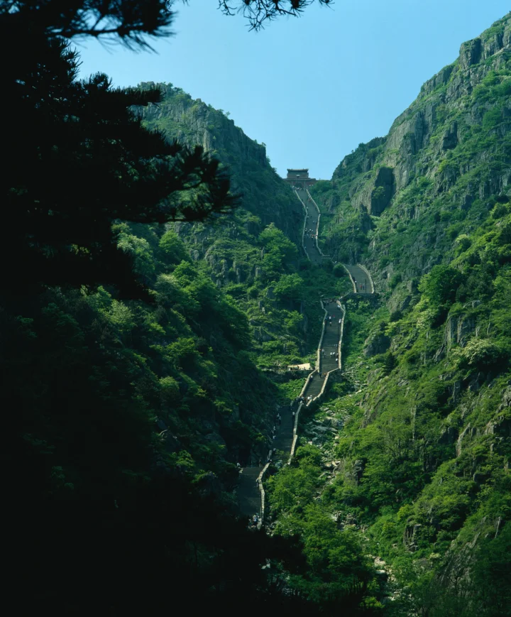 葱郁山谷中的石阶沿着陡峭岩壁向上延伸，天空湛蓝，四周被森林环绕。