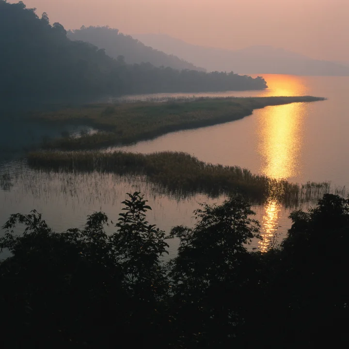 夕阳映照湖面，远处山林笼罩在薄雾中，岸边芦苇与前景树木形成深色剪影。