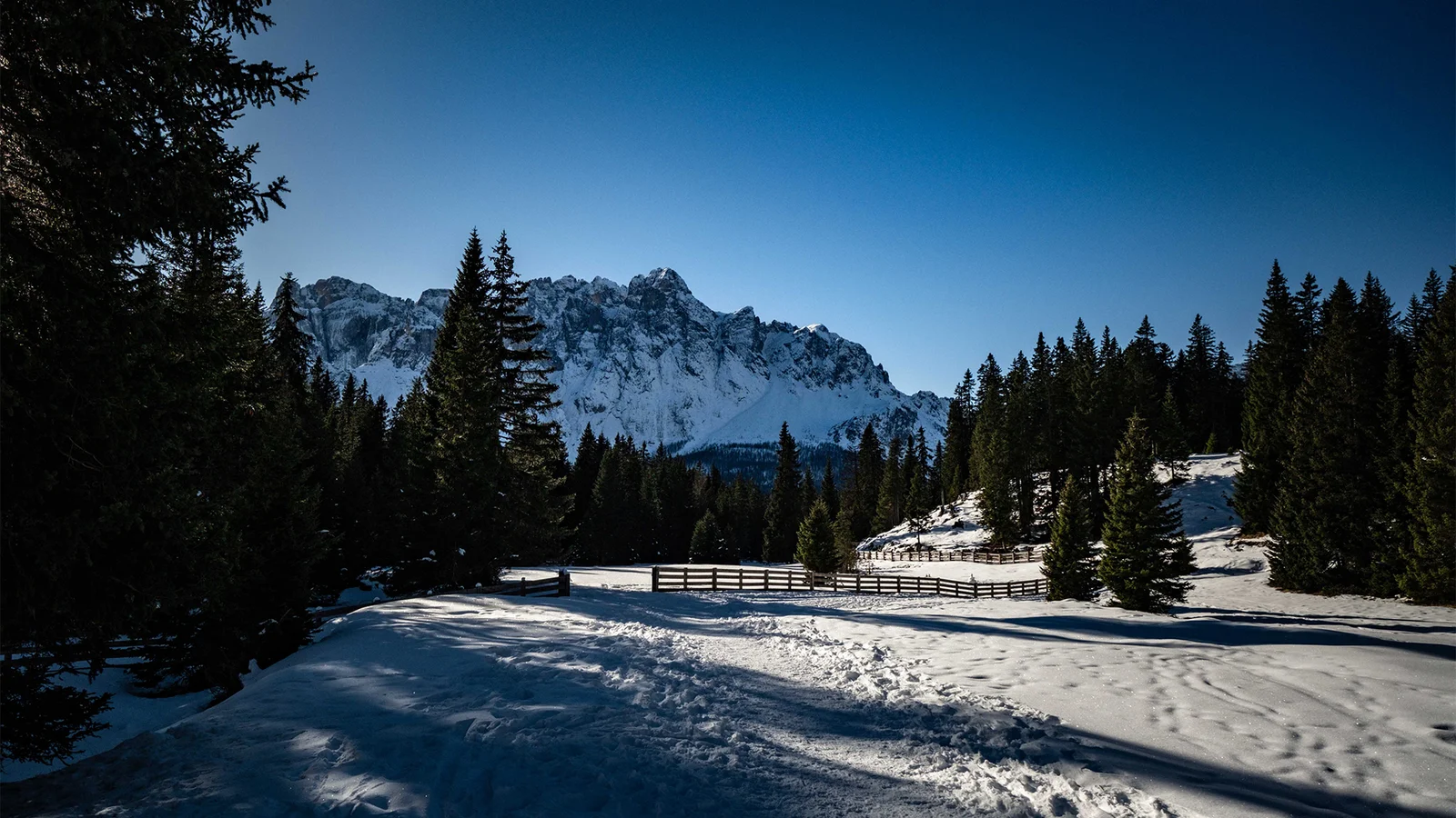 积雪覆盖的山谷、针叶林与远处的雪山在蓝天下构成宁静的冬日风景。