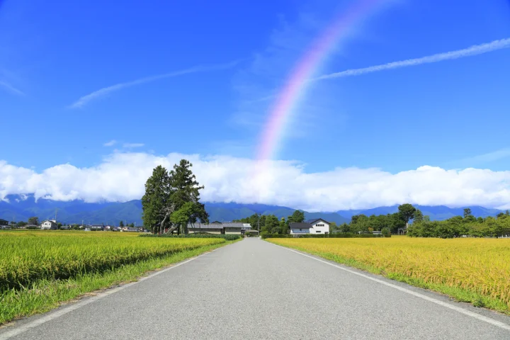一条乡间道路穿过金色稻田，远处是山脉和天空中的彩虹。