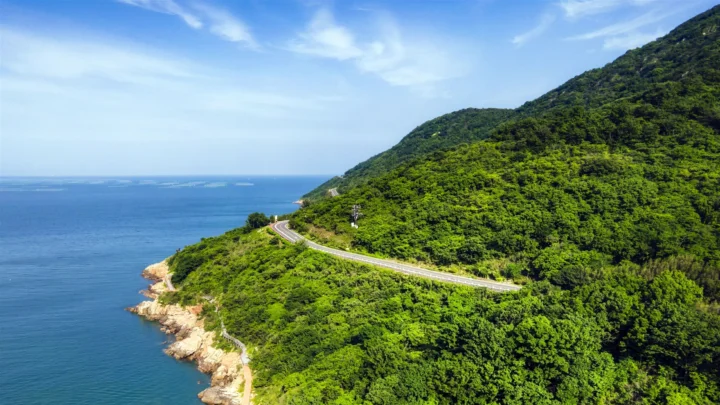 蜿蜒的海岸公路穿过郁郁葱葱的山坡，俯瞰宁静的蓝色海面。