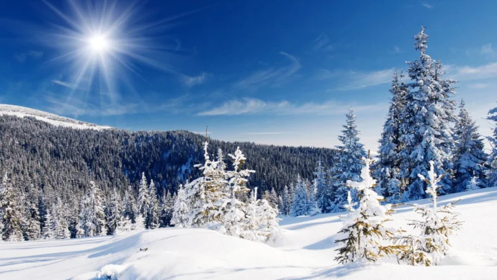 阳光照耀着覆盖白雪的山林与起伏雪地。