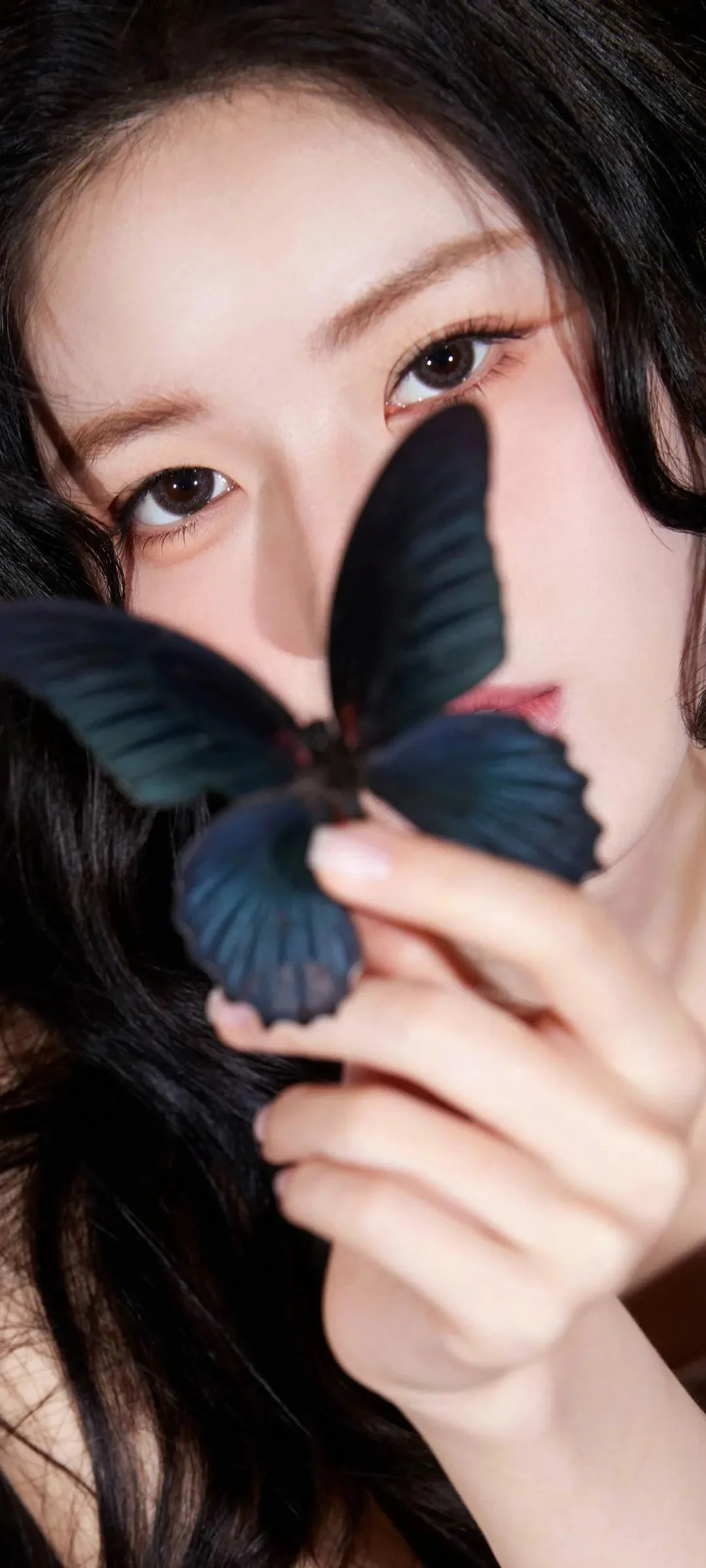 검은 머리의 여성이 어두운 색의 나비를 얼굴 가까이에 들고 있는 세로형 클로즈업입니다.