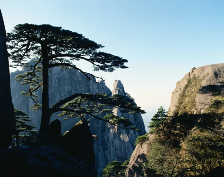 苍劲的松树映衬着陡峭的花岗岩山峰，天空晴朗明亮。