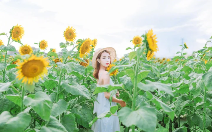 一名戴草帽的成年女子站在盛开的向日葵花田中。
