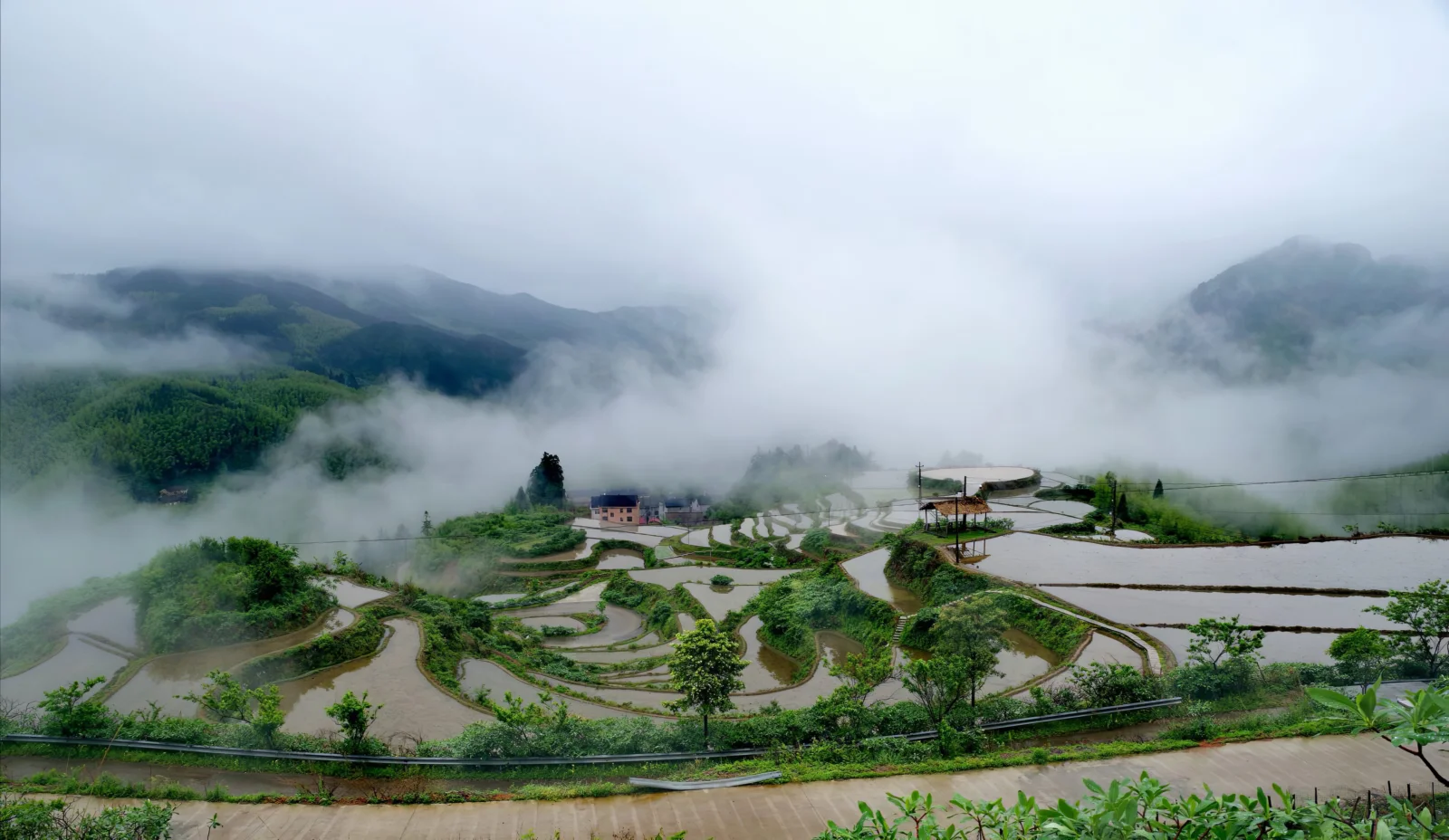 안개에 덮인 산골짜기에 물이 찬 계단식 논이 펼쳐져 있습니다.