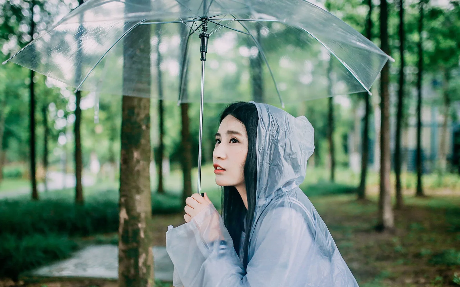 一名穿着透明雨衣的女子在树林中撑着透明雨伞。
