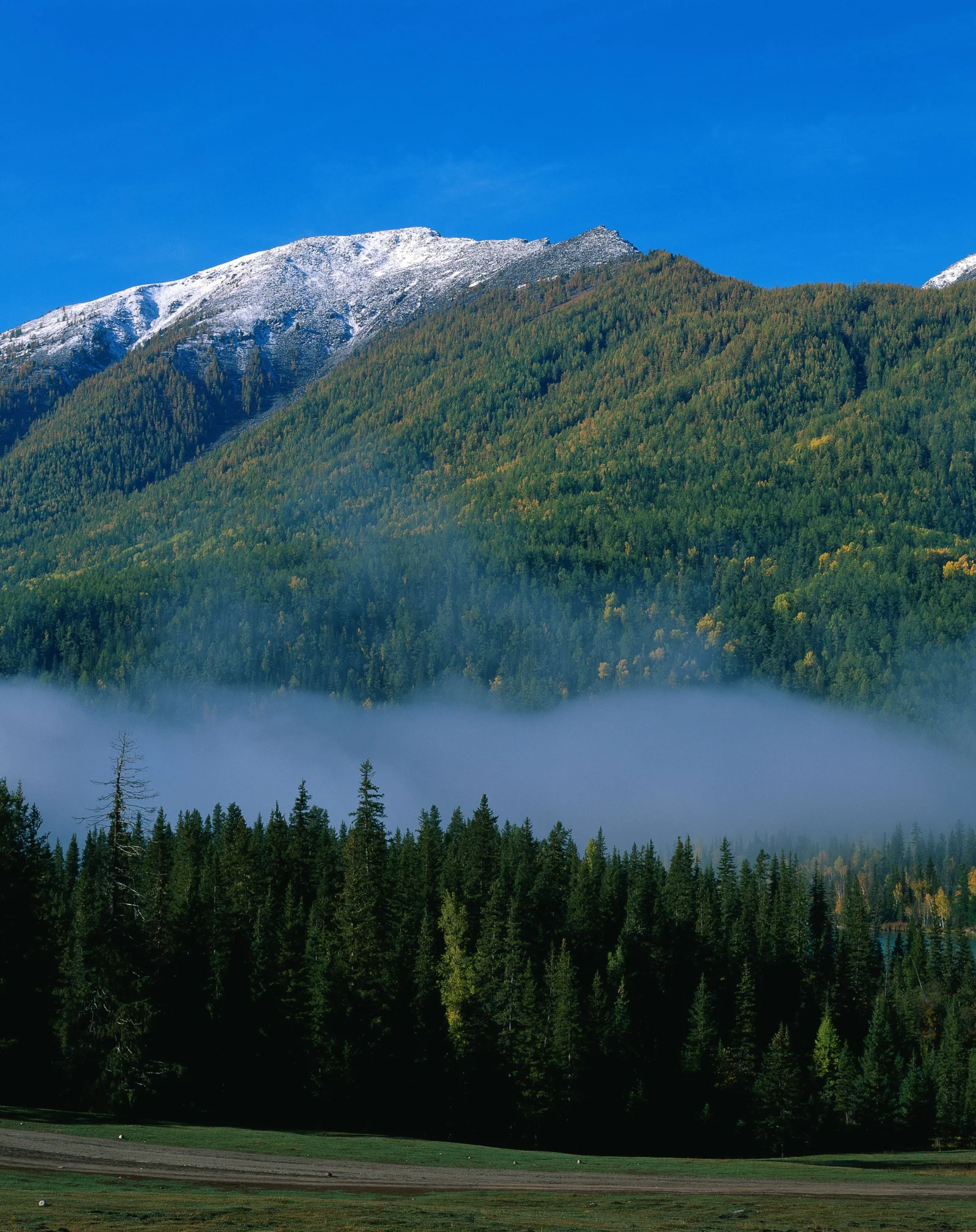 白雪覆蓋的山脈、茂密森林與低空薄霧構成寧靜的自然風景。